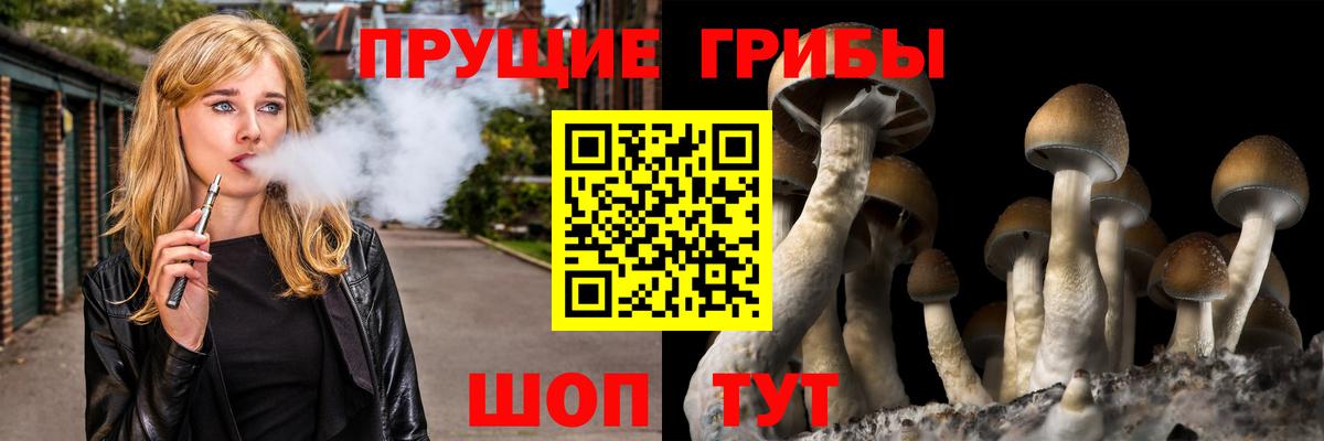 Галлюциногенные грибы прущие грибы Гулькевичи